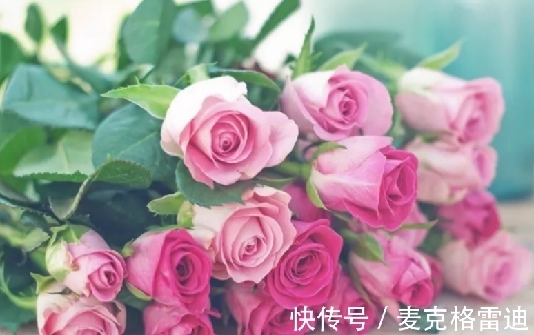 双鱼座|这几年,4个星座,有才华,有能力,和他们做朋友能共同进步