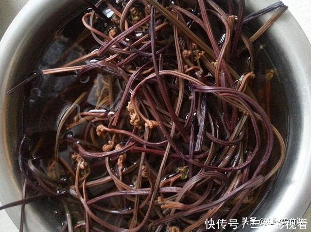 8种蔬菜晒干后,比新鲜的还好吃,多做点囤起来,冬天炖肉吃特香