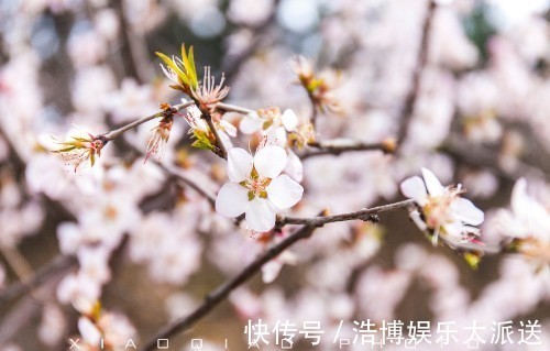 孤独星球@世界文化遗产中最美这一段长城,曾被《孤独星球》多次推荐