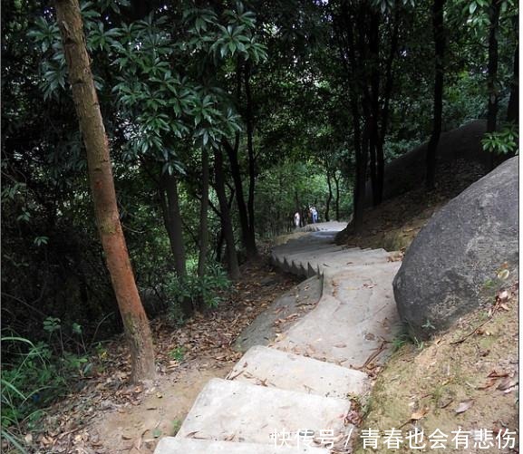 位于广州天河的这座山，峰峦叠翠，很多人还不知道