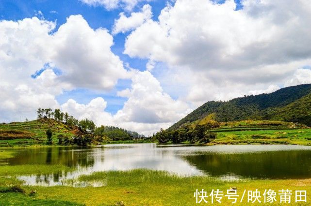 网红|「李子柒说时代给了我一阵风」，成就自媒体网红需要哪些助力？