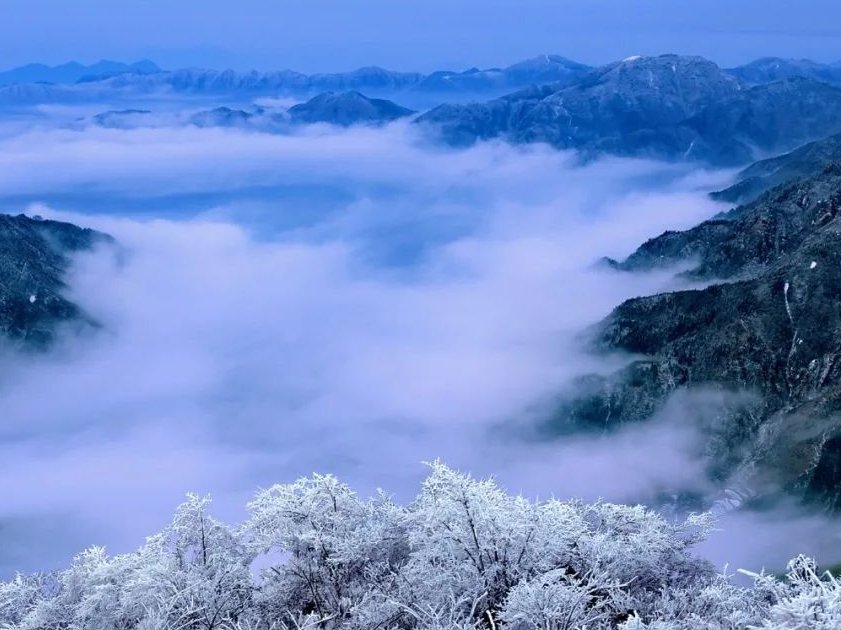 括苍雾凇|临海括苍雾凇 ｜ 今年的你，来得比往年早一些