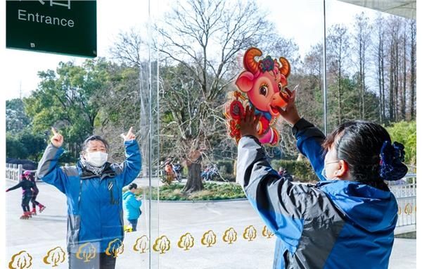 牛年新春倒计时 上海植物园换上新衣裳