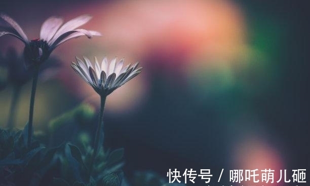 属兔|往后4天，深情如海，活在当下，旧情难忘，转身相拥，开心幸福