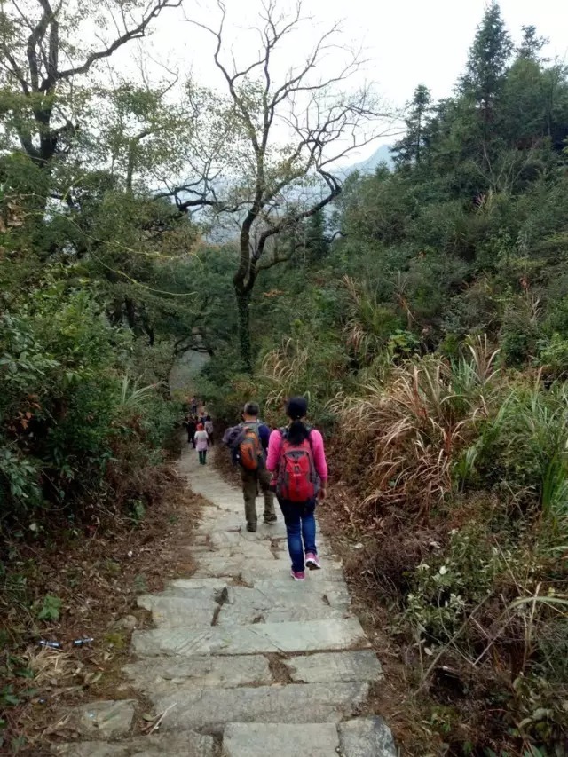 长溪村|婺源赏枫长溪村，石城游记