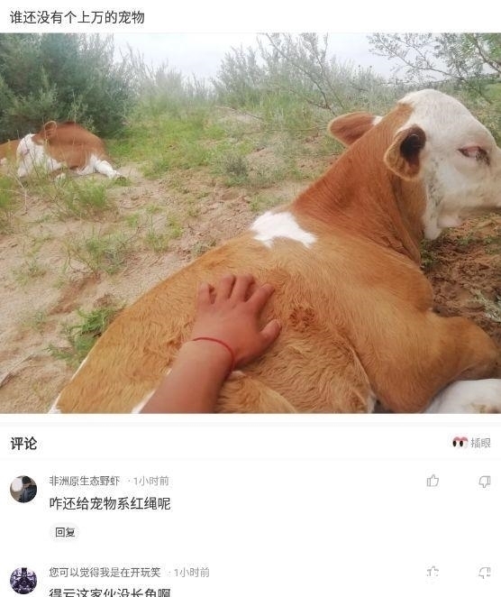 |沙雕段子:吃了止痛药再去打架,是不是就会变成没有感情的打架机器?