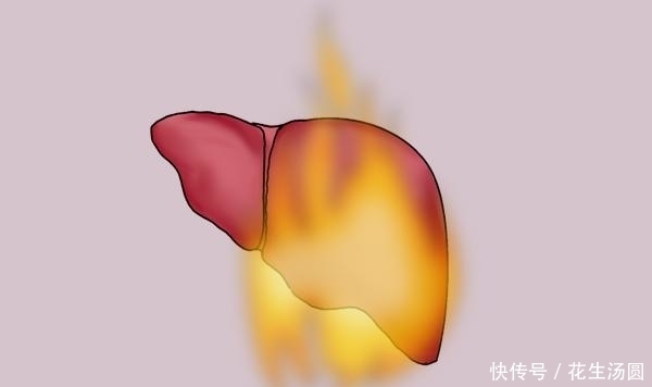 养肝的“冠军”不是大蒜、枸杞,平时常吃点,补肝血,肝或会变好