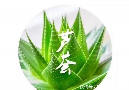 阳台上|这些花不能宠!越贱养越疯长,长不好就是你太勤快