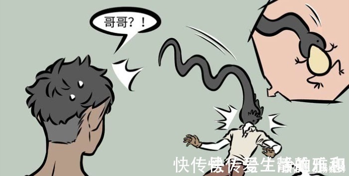 捕食|非人哉玄武捕食金蟾,反被他请吃火锅,肉不够小玉加菜“牛蛙”