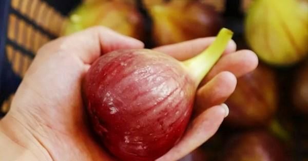 无花果|买这水果,就要挑“烂”的买,新鲜的不要,果店老板越烂越好吃