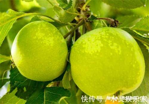 营养物质|女人不想老太早，要多吃4种食物，排出毒素，美白润肤，缓解疲劳