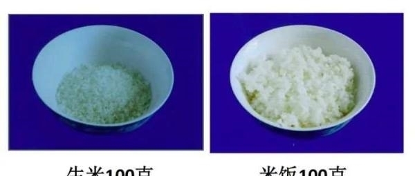 包子|食堂的“一两”包子、“二两”饭,你吃饱了吗?