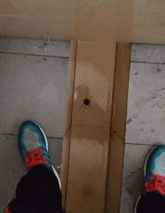 |搞笑GIF:每一位胖姑娘都是有非常大的潜力的,不过感觉这两位新人不太般配