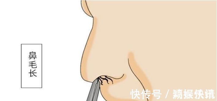 毛鼻毛|为啥鼻毛长着长着,就会“窜”出来 鼻毛过于旺盛,说明了啥