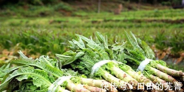 莴笋炒鸡蛋|李时珍称它“千金菜”,钾含量丰富,小孩子常吃个子高又聪明!