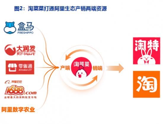 优选|背靠巨头阿里的淘菜菜，能在社区团购赛道走多远？