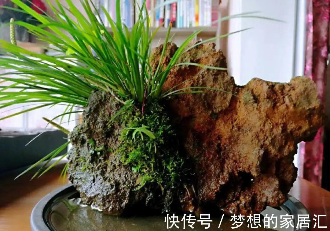 10种花太能喝水,一天一瓢水,7天爆满缸