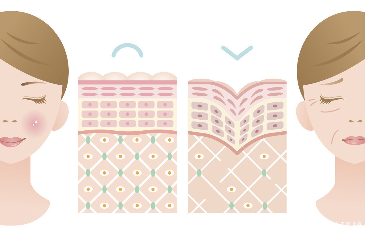 想要买胶原蛋白肽不知道怎么选?ME教你按照这几个标准去挑