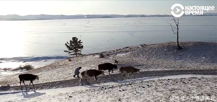 老年|80岁奶奶独居贝加尔湖畔,零下40℃,出门靠溜冰,喝水靠凿冰,网友:是个狠人!