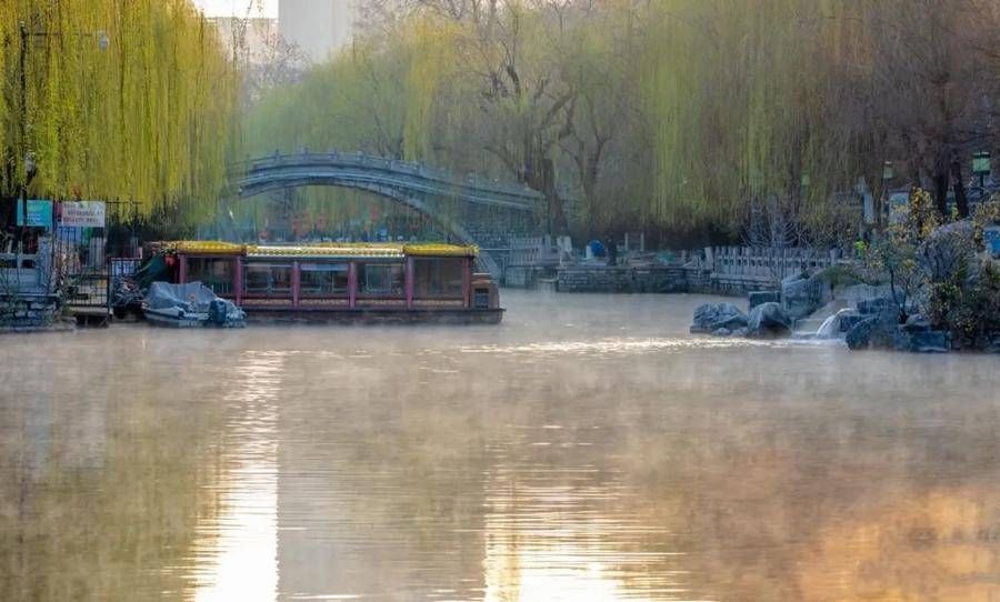 荷花|这座齐鲁古城已美了上千年，四季绚烂皆美景！没来过就太遗憾了