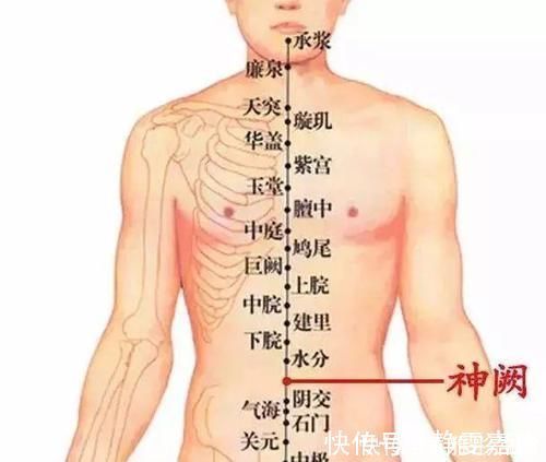 承山穴|日常养生十穴养肝健脾、排除湿气、治疗耳朵疾病