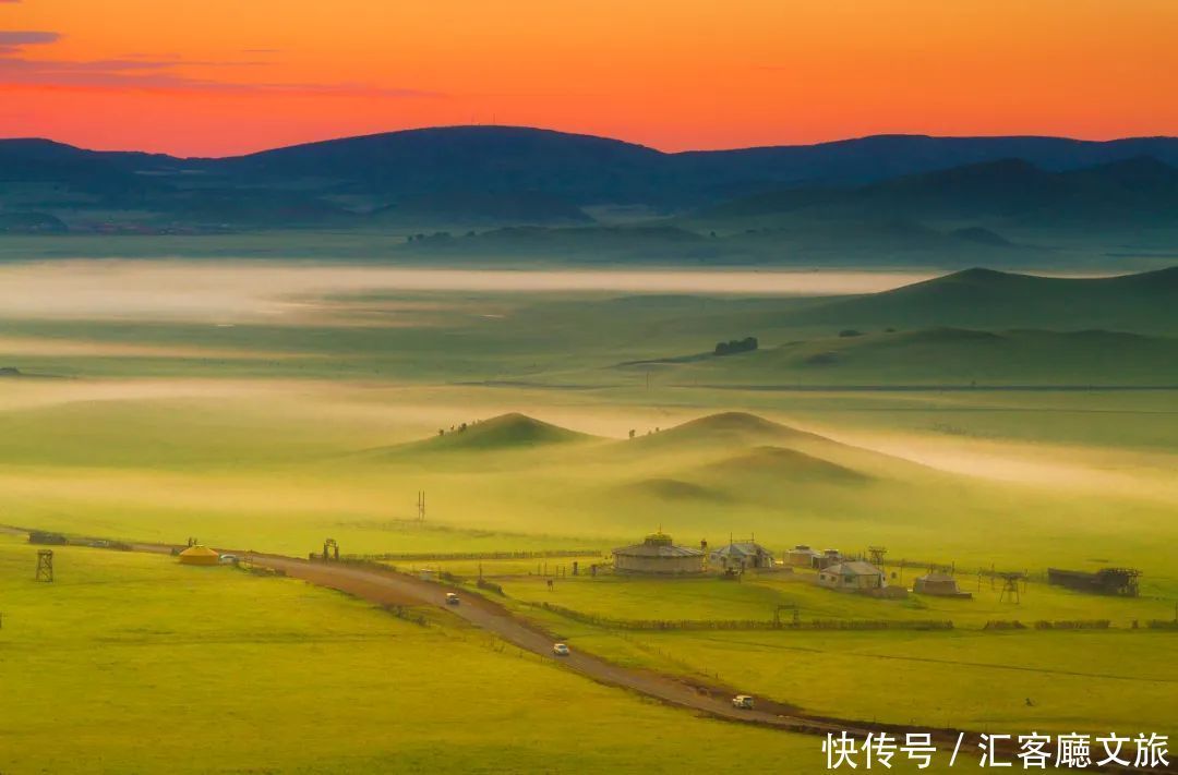 樟子松|这个夏天，我劝你一定要去一次内蒙古 ！