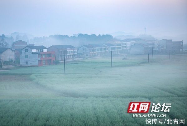 久雨初晴，薄雾轻笼下的家乡景色格外妖娆