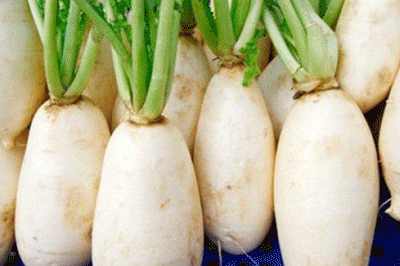  期盼|布克·私议de节气——大雪。你期盼下雪吗？