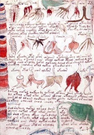 图源@这本“天书”600年来无人能解,如今终于看见了希望