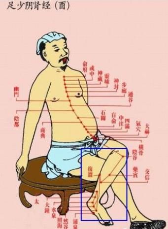 肝经|每天晚上拍小腿内侧,猜猜会有什么效果?