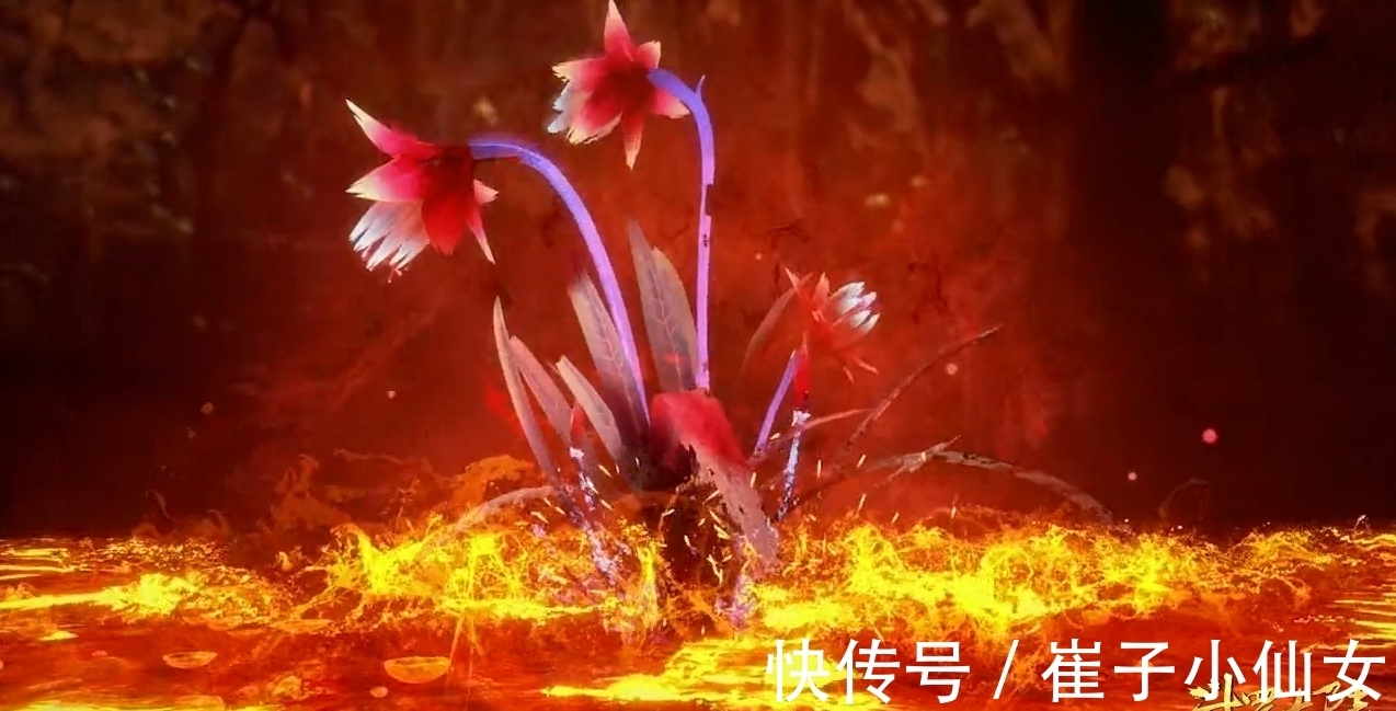 修罗神|斗罗大陆:从杀戮之都获得好处的唐三,为什么会摧毁杀戮之都?