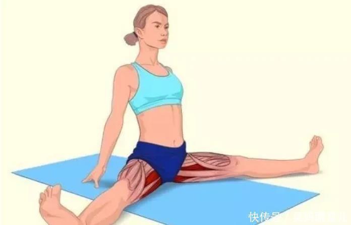 腘绳肌|全身拉筋3D图解,一步到位,在家也能强身健体