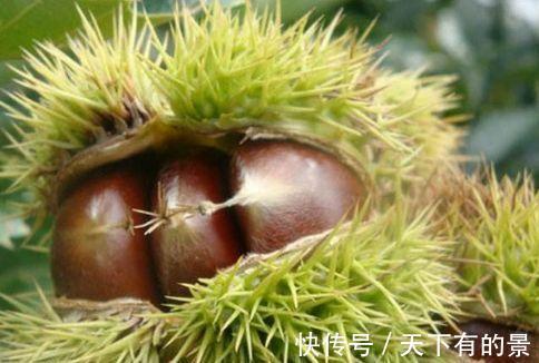 养生|食物养生很重要，坚持常吃三种食物，润肠通便，好处多多