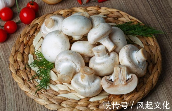 蘑菇|长寿的人都会“吃”,4种食物常吃,补充营养,疾病不来犯