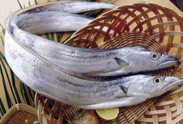 無鱗魚和有鱗魚有什麼差別 哪種魚更好 聽聽營養師的建議 每日要聞