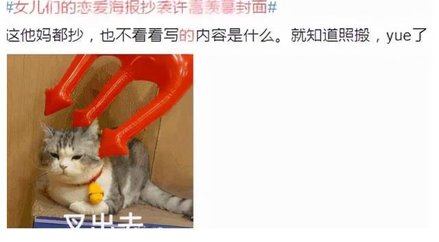 女儿们的恋爱|《女儿们的恋爱4》海报被曝抄袭,遭网友痛批