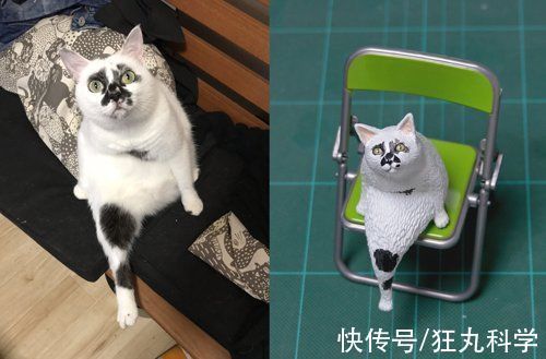 长颈狗|全球的猫都想屏蔽这个日本人,他到底做了多少沙雕手办?