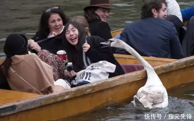 剑桥|剑桥“水怪”!揍人打狗未逢敌手?这么嚣张居然是女王给ta撑腰