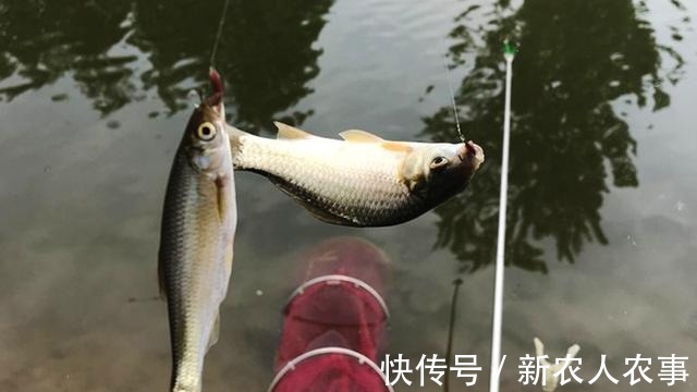 眼睛|广东一男子周末“钓鱼自由”，结果眼睛躺枪，网友：不幸中的万幸