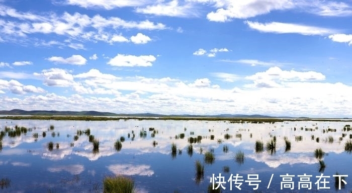 花湖|有一个美丽的地方叫若尔盖花湖