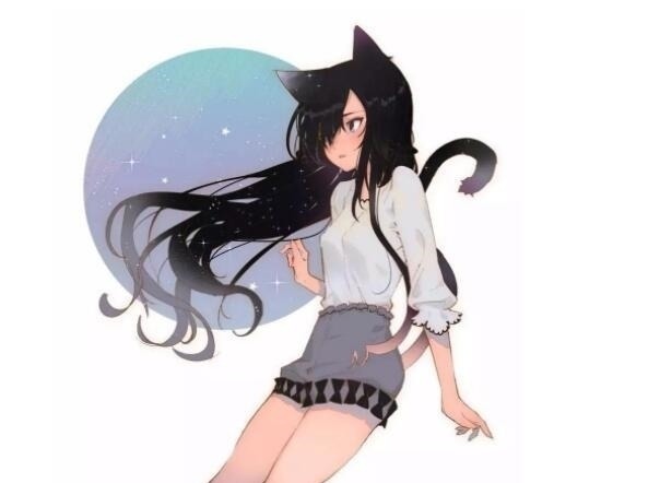 犬系|猫系女子VS犬系女子,你更喜哪一种?动漫猫系受欢迎,现实却相反