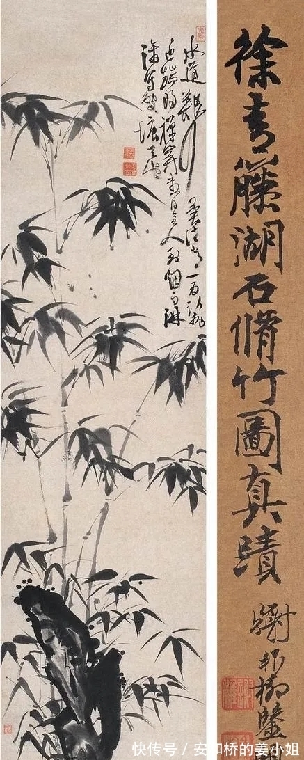 芭蕉！花鸟画一代宗师｜徐渭画竹，当在青藤之后，芭蕉之上，你认为呢？