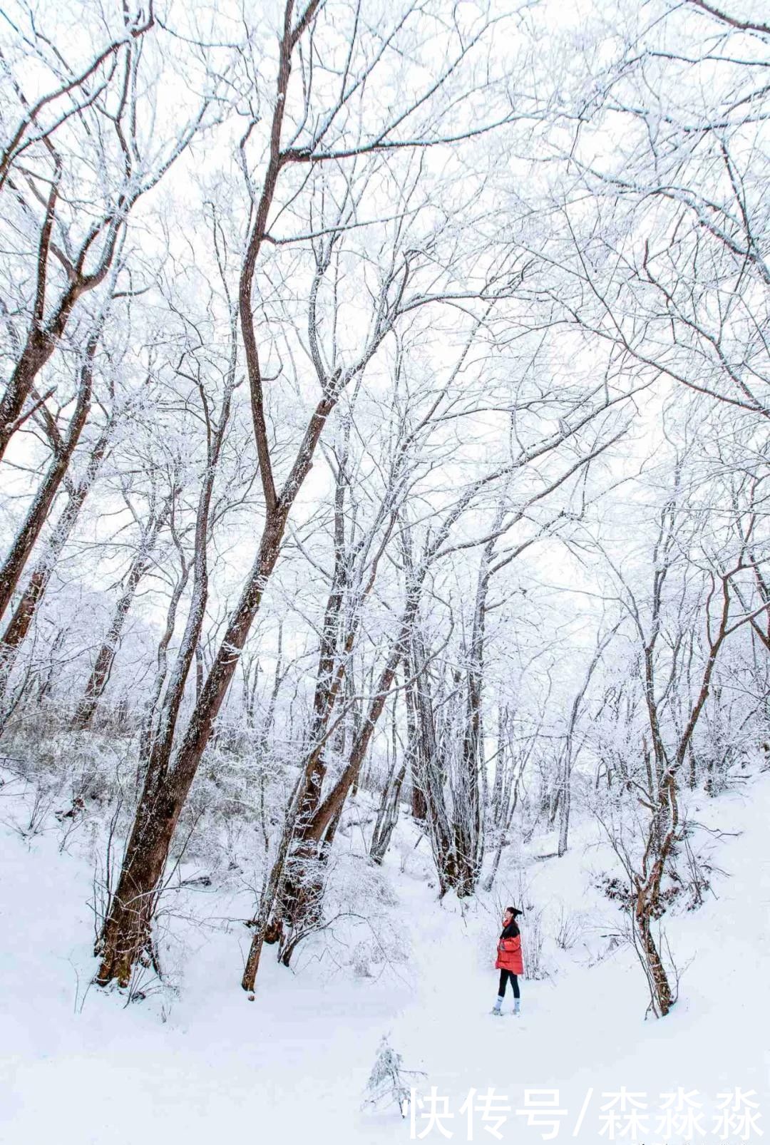 山下|十里风雪天涯路，秦岭雪乡留下吧，紫柏山下是我家