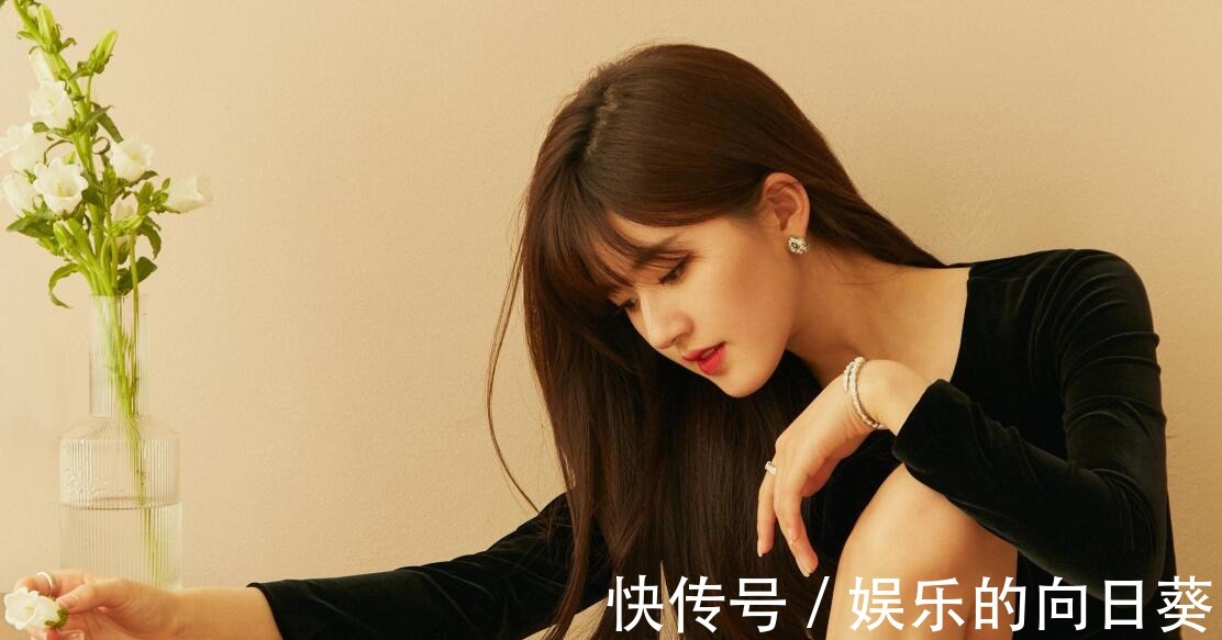 何炅|何炅凭什么能成为综艺界的“定海神针”赵露思一语道破玄机