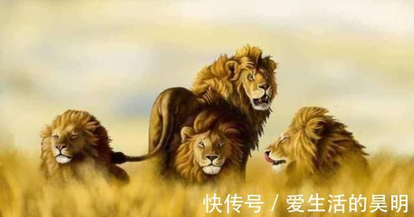 汉语言@一篇旷古奇文,全文96个字同一个读音,汉语言真的是博大精深