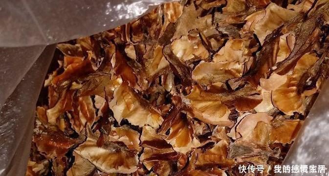 花盆里加点这个,不烂根不黄叶,轻松养满盆