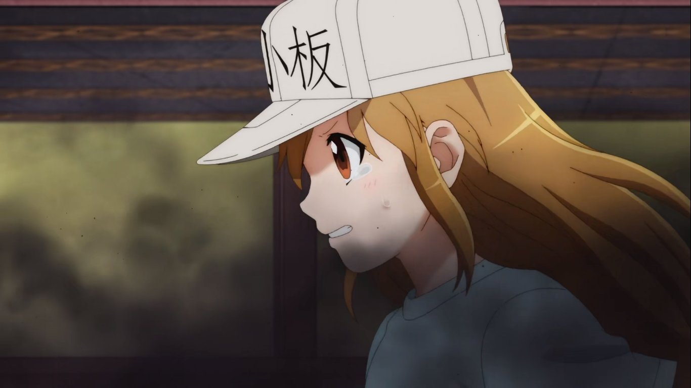 两种画风，双份可爱，《工作细胞》中的血小板你更喜欢哪一位？