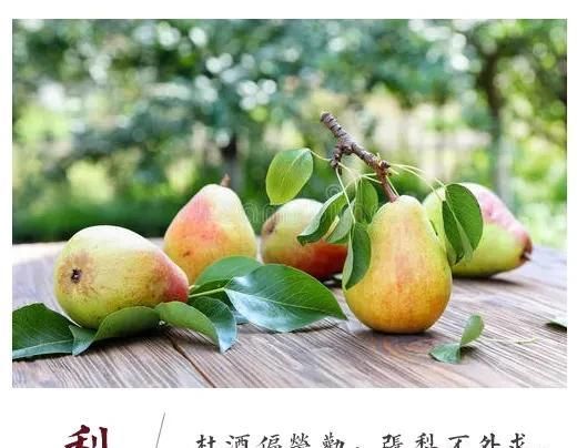 阿蛮读唐诗 杜甫诗里的植物 梨 菱 蒲 莲 天棘 快资讯