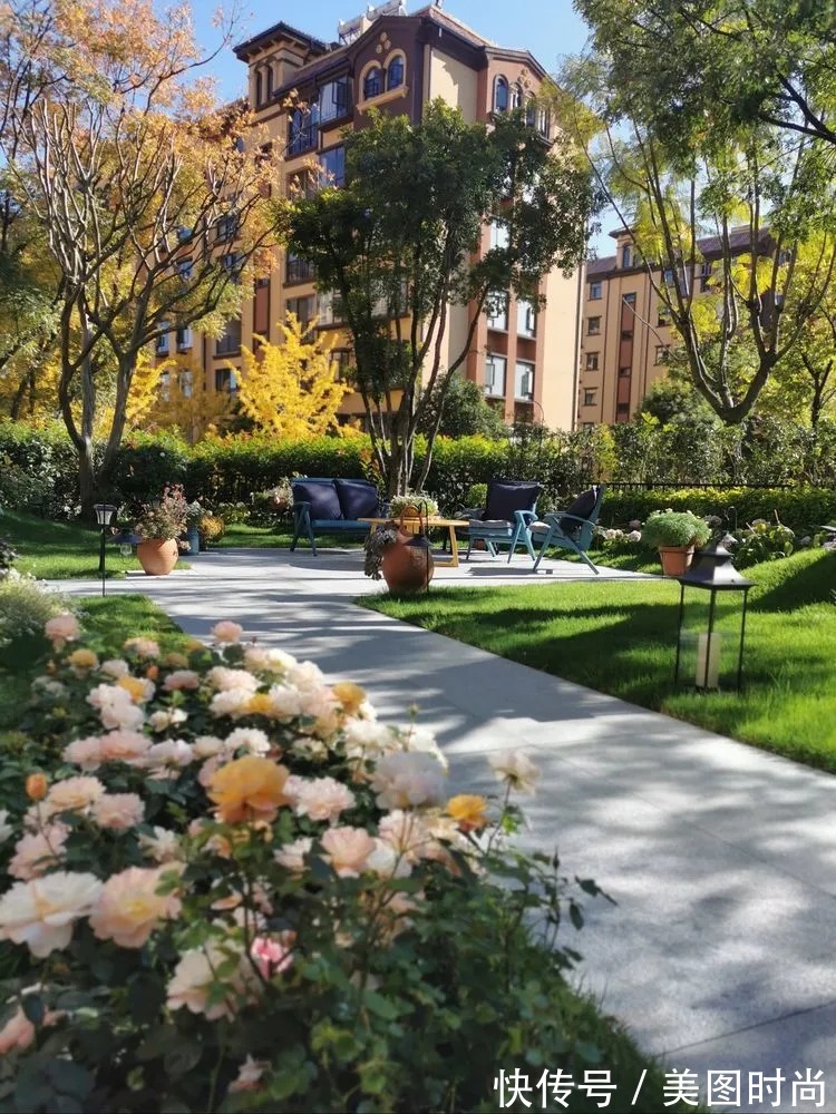 下午茶|一楼430㎡大院子,用1年半建成花园,网友:你这是建了个公园吧?