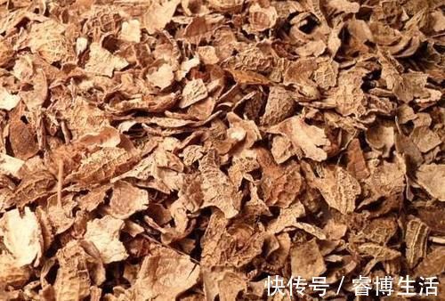 这些垃圾废料拿来养花,你以为是“青铜”,结果全是“王者”